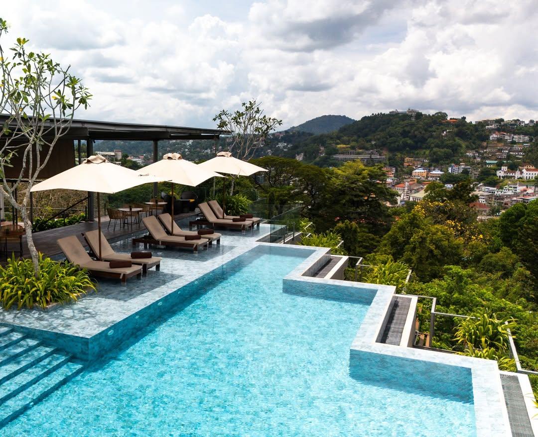 The Trees Hotel Exterior